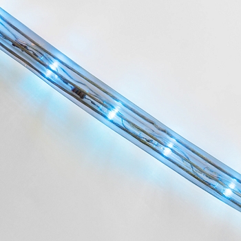Дюралайт LED, постоянное свечение (2W) - синий Эконом 24 LED/м , бухта 100м