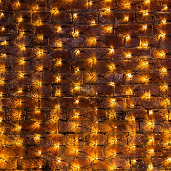 Гирлянда светодиодная Сеть 2х1,5м 288 LED ТЕПЛЫЙ БЕЛЫЙ черный ПВХ IP65 свечение с динамикой блок в комплекте NEON-NIGHT