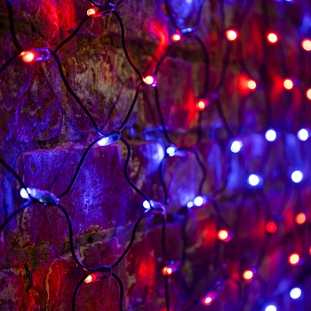 Гирлянда светодиодная Сеть 2х0,7м 176 LED КРАСНЫЙ/СИНИЙ черный ПВХ IP65 свечение с динамикой 230В контроллер в комплекте NEON-NIGHT
