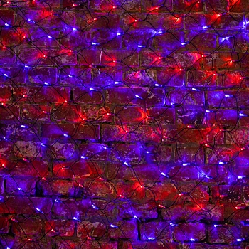 Гирлянда светодиодная Сеть 2х1,5м 288 LED КРАСНЫЙ/СИНИЙ черный ПВХ IP65 свечение с динамикой 230В контроллер в комплекте NEON-NIGHT