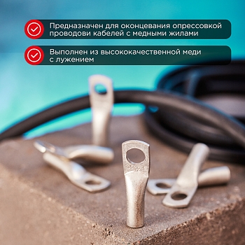 Наконечник медный луженый ТМЛ-Р 2,5–6 (2,5мм² - Ø6мм) (в упак. 100 шт.) REXANT