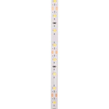 Лента светодиодная 12В, SMD2835, 9,6Вт/м, 60 LED/м, 6500K, 8мм, 5м, IP20 REXANT