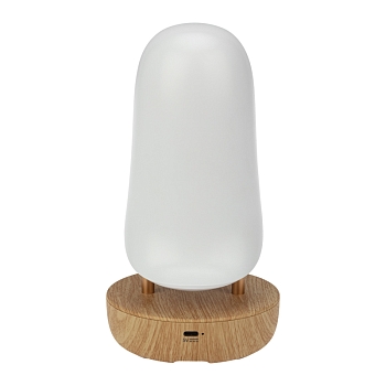 Интерьерный светильник Тукан, соединение по Bluetooth