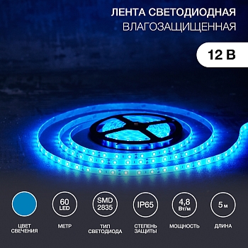 Лента светодиодная 12В, SMD2835, 4,8Вт/м, 60 LED/м, синий, 8мм, 5м, IP65 LAMPER
