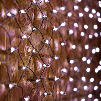 Гирлянда светодиодная Сеть 2х0,7м 176 LED БЕЛЫЙ черный ПВХ IP65 свечение с динамикой 230В контроллер в комплекте NEON-NIGHT